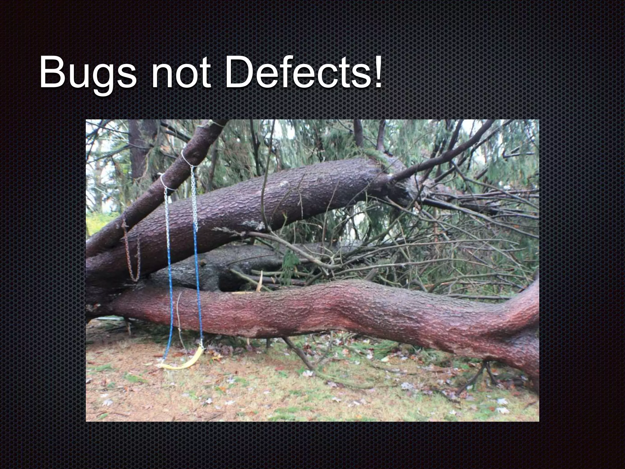 Bugs not Defects! 