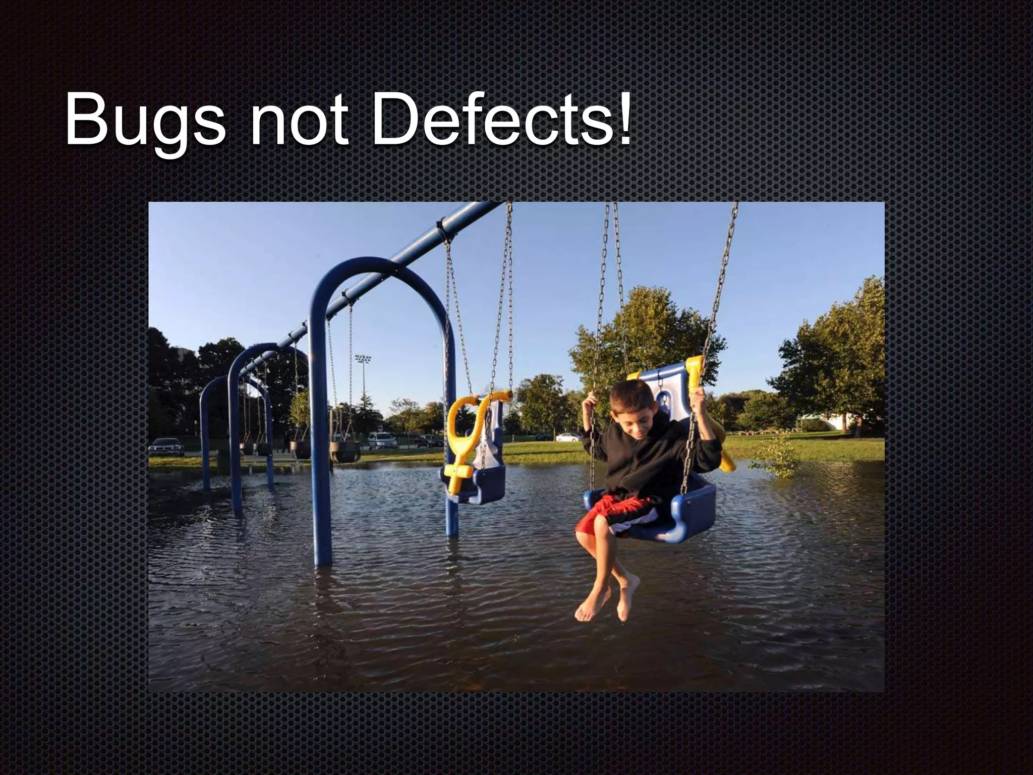 Bugs not Defects! 