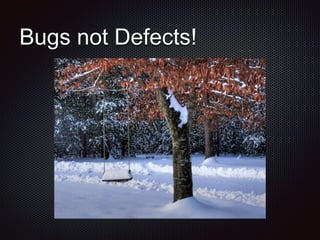 Bugs not Defects!
 