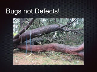 Bugs not Defects!
 