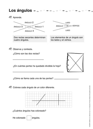 Los ángulos
 Aprende.

               ÁNGULO   2                              LADO

                                              ÁNGULO          VÉRTICE
  ÁNGULO   3                ÁNGULO   1
               ÁNGULO   4                              LADO



  Dos rectas secantes determinan         Los elementos de un ángulo son
  cuatro ángulos.                        los lados y el vértice.



 Observa y contesta.

 ¿Cómo son las dos rectas?




 ¿En cuántas partes ha quedado dividida la hoja?




 ¿Cómo se llama cada una de las partes?




                                                                          © GRUPO ANAYA, S.A., Me llevo tres 4, 5, 6. Educación Primaria. Material fotocopiable autorizado.
 Colorea cada ángulo de un color diferente.




 ¿Cuántos ángulos has coloreado?


 He coloreado           ángulos.
 
