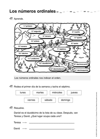 Los números ordinales
  Aprende.

             1.º primero


                       2.º segundo                                   4.º cuarto

                                     3.º tercero
                                                                         5.º quinto

                       8.º octavo
                                                                     6.º sexto
      9.º noveno
                                                       7.º séptimo

      10.º décimo


                   11.º undécimo

                                12.º duodécimo
                                                                       14.º decimocuarto

                                              13.º decimotercero
                                                                        15.º decimoquinto



  Los números ordinales nos indican el orden.


  Rodea el primer día de la semana y tacha el séptimo.

         lunes               martes                miércoles         jueves
                                                                                            © GRUPO ANAYA, S.A., Me llevo tres 4, 5, 6. Educación Primaria. Material fotocopiable autorizado.


                   viernes             sábado              domingo


  Resuelve.

  Daniel es el duodécimo de la lista de su clase. Después, van
  Teresa y David. ¿Qué lugar ocupa cada uno?

 Teresa

 David
 