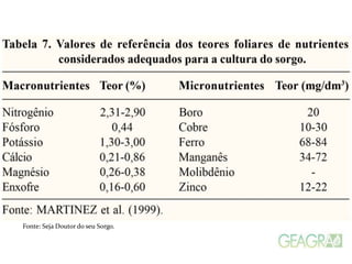 Fonte: Seja Doutor do seu Sorgo.
 