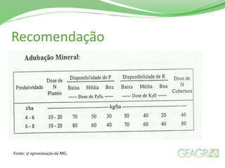 Recomendação
Fonte: 5ª aproximação de MG.
 