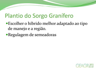 Plantio do Sorgo Granífero
Escolher o híbrido melhor adaptado ao tipo
de manejo e a região.
Regulagem de semeadoras
 