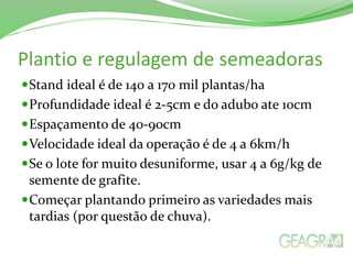 Plantio e regulagem de semeadoras
Stand ideal é de 140 a 170 mil plantas/ha
Profundidade ideal é 2-5cm e do adubo ate 10cm
Espaçamento de 40-90cm
Velocidade ideal da operação é de 4 a 6km/h
Se o lote for muito desuniforme, usar 4 a 6g/kg de
semente de grafite.
Começar plantando primeiro as variedades mais
tardias (por questão de chuva).
 
