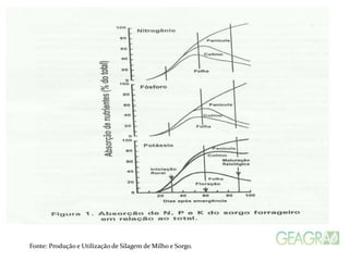 Fonte: Produção e Utilização de Silagem de Milho e Sorgo.
 