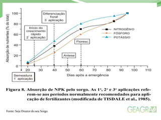 Fonte: Seja Doutor do seu Sorgo.
 