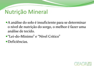 Nutrição Mineral
A análise do solo é insuficiente para se determinar
o nível de nutrição do sorgo, o melhor é fazer uma
análise de tecido.
“Lei-do-Mínimo” e “Nível Crítico”
Deficiências.
 