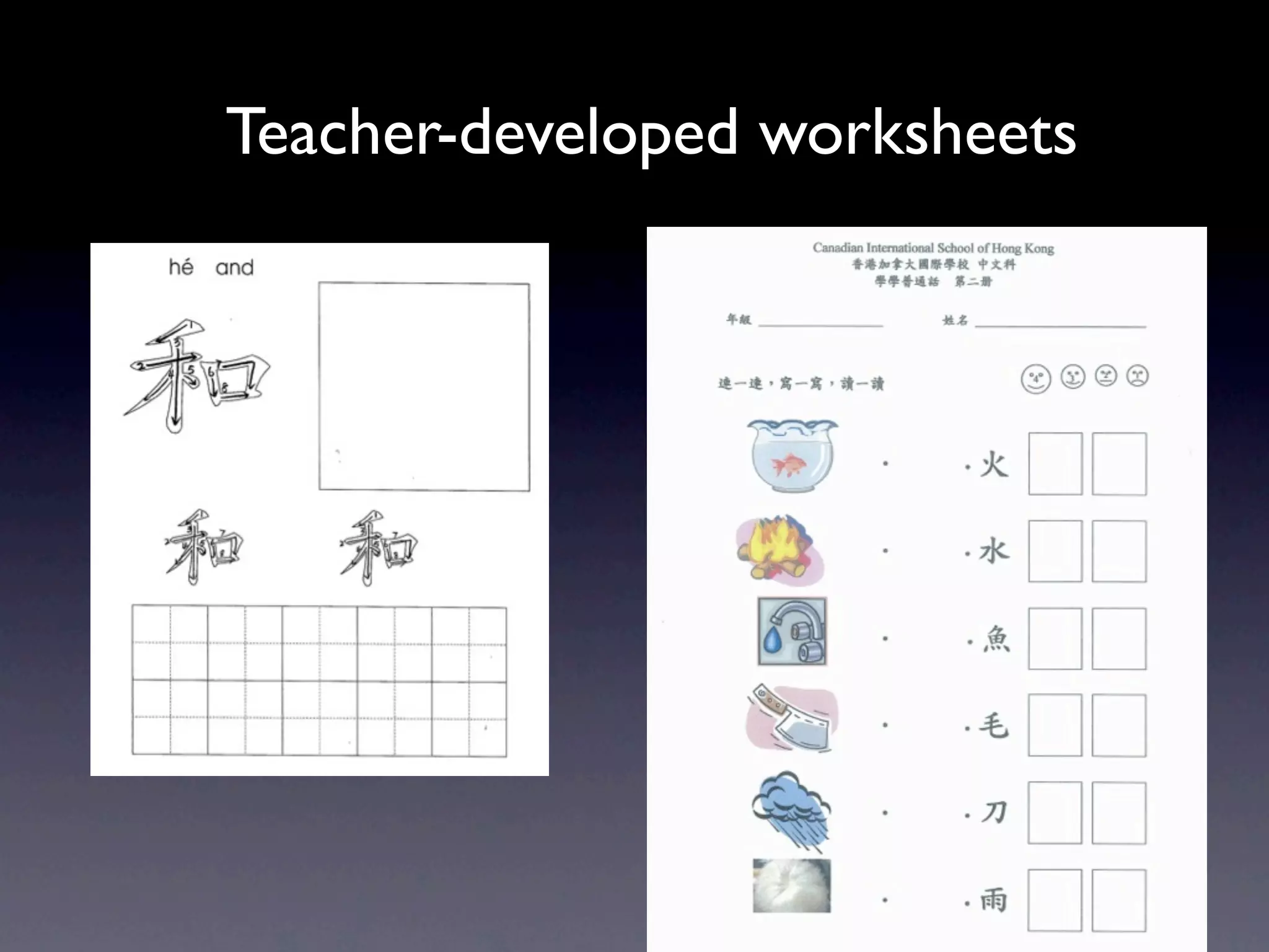 Teacher-developed worksheets
 