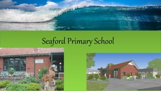 Seaford Primary School
 