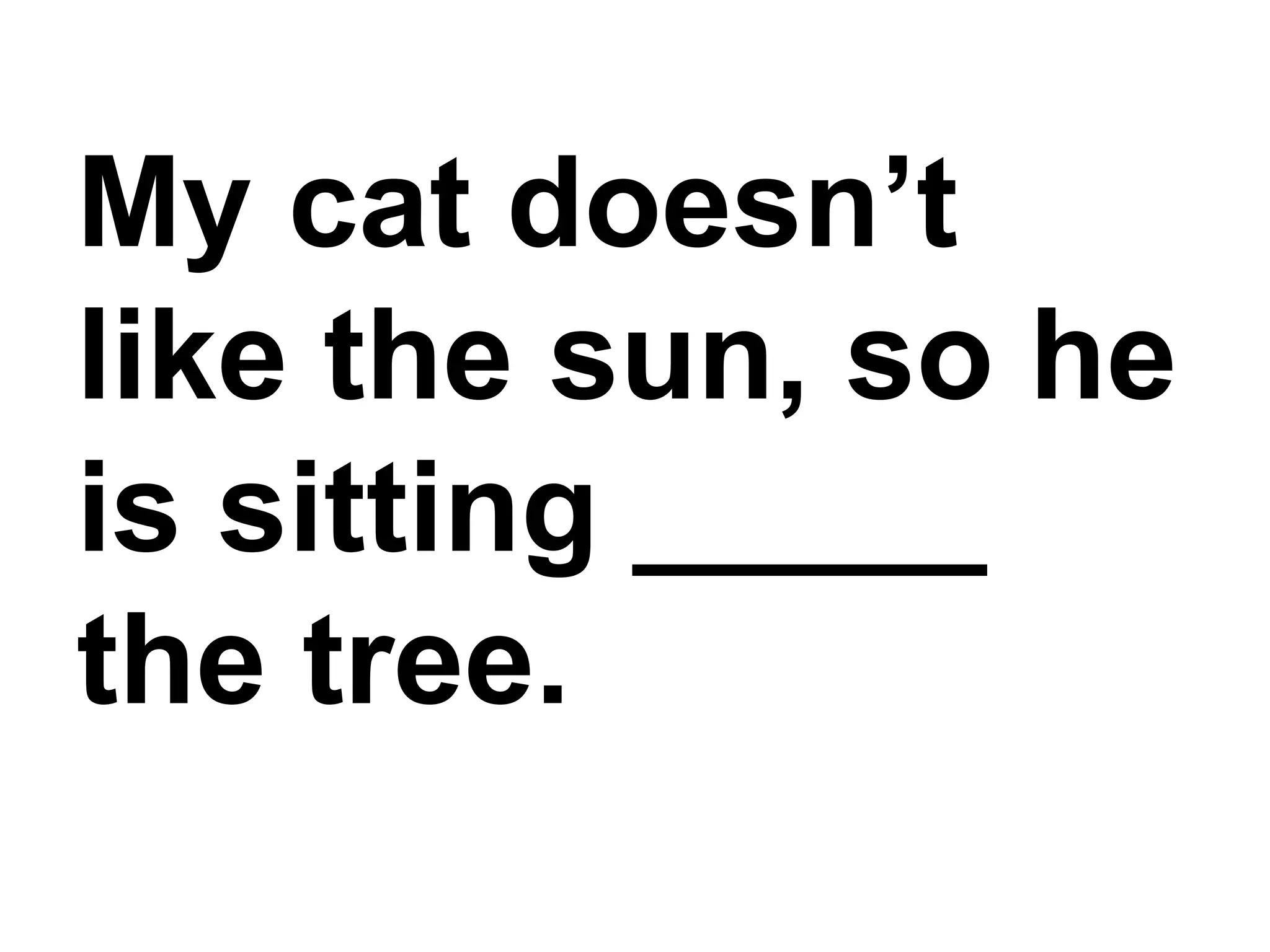 My cat doesn’t like the sun, so he is sitting _____ the tree.