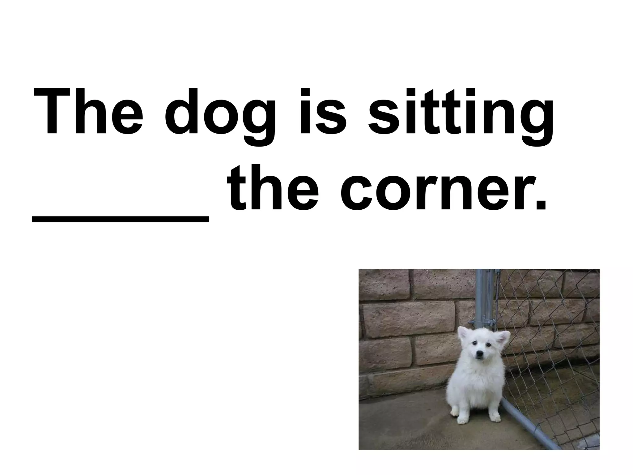 The dog is sitting _____ the corner.