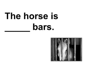 The horse is _____ bars.