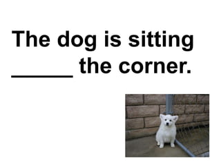 The dog is sitting _____ the corner.