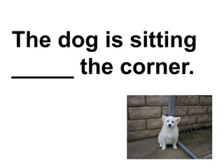 The dog is sitting _____ the corner.,[object Object]