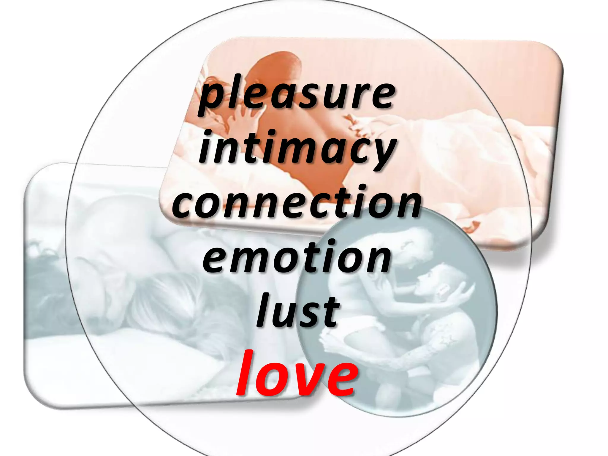 pleasure
intimacy
connection
emotion
lust
love
 