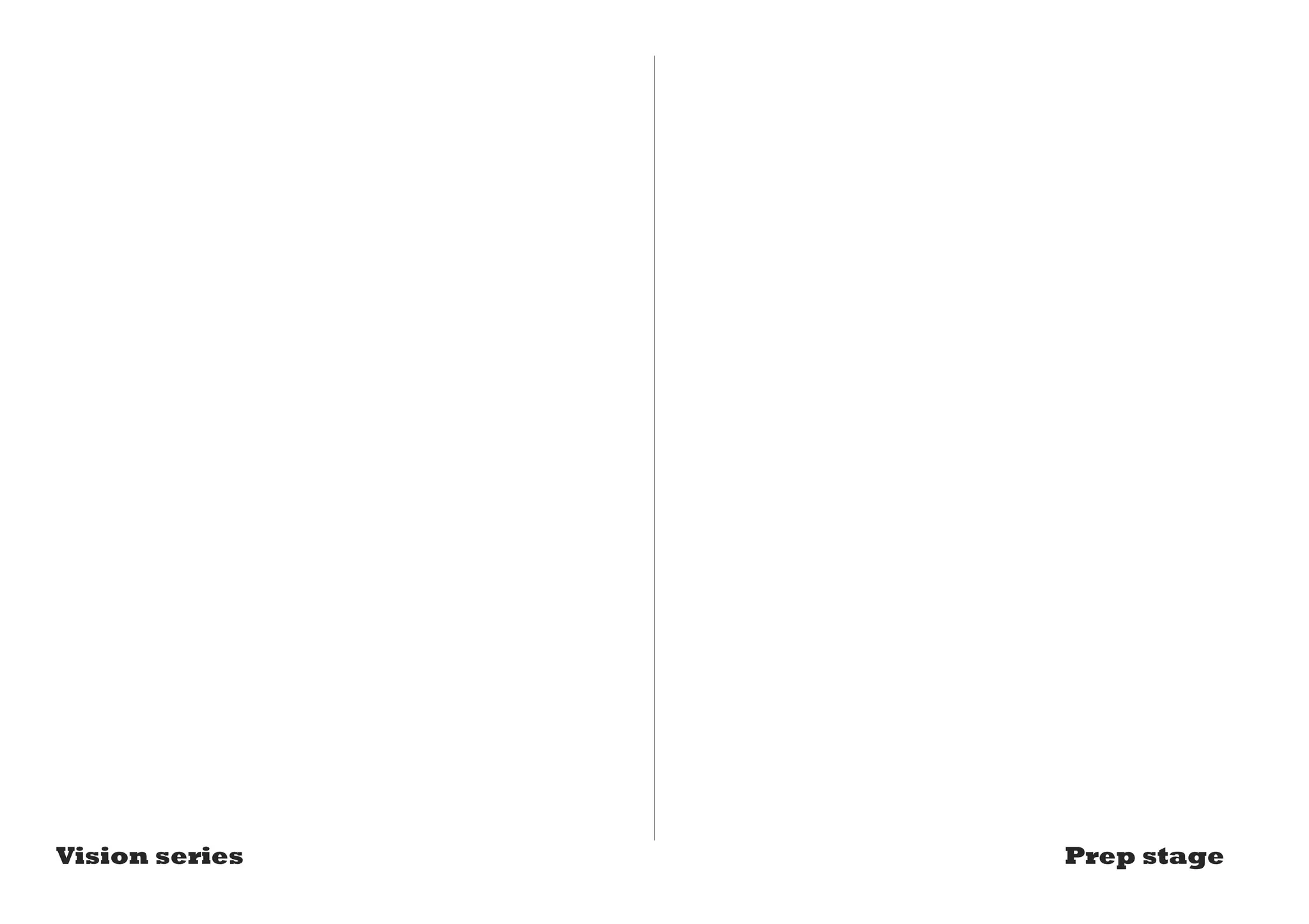 Vision series Prep stage 
 