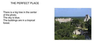 There is a big tree in the center
of the photo.
The sky is blue.
The buildings are in a tropical
forest.
THE PERFECT PLACE
 