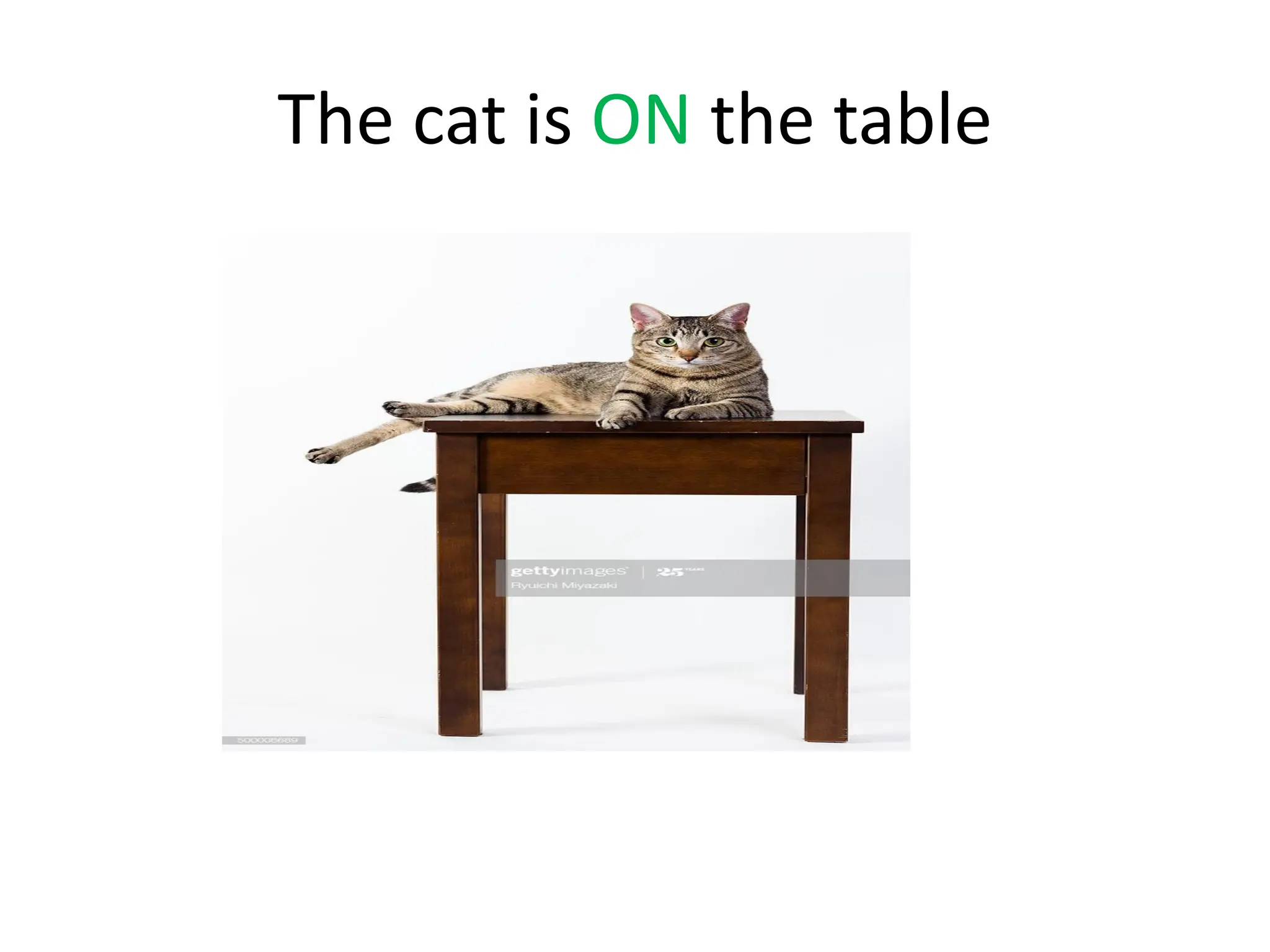 PREPOSITION DEFINITION AND EXAMPLES PDF CLASS 9 visual data 8