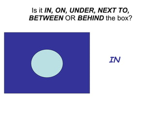 IN Is it IN, ON, UNDER, NEXT TO, BETWEEN OR BEHIND the box?
