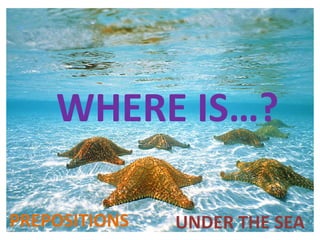 WHERE IS…?
UNDER THE SEAPREPOSITIONS
 