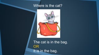 Where is the cat?
The cat is in the bag.
OR
It is in the bag.
 