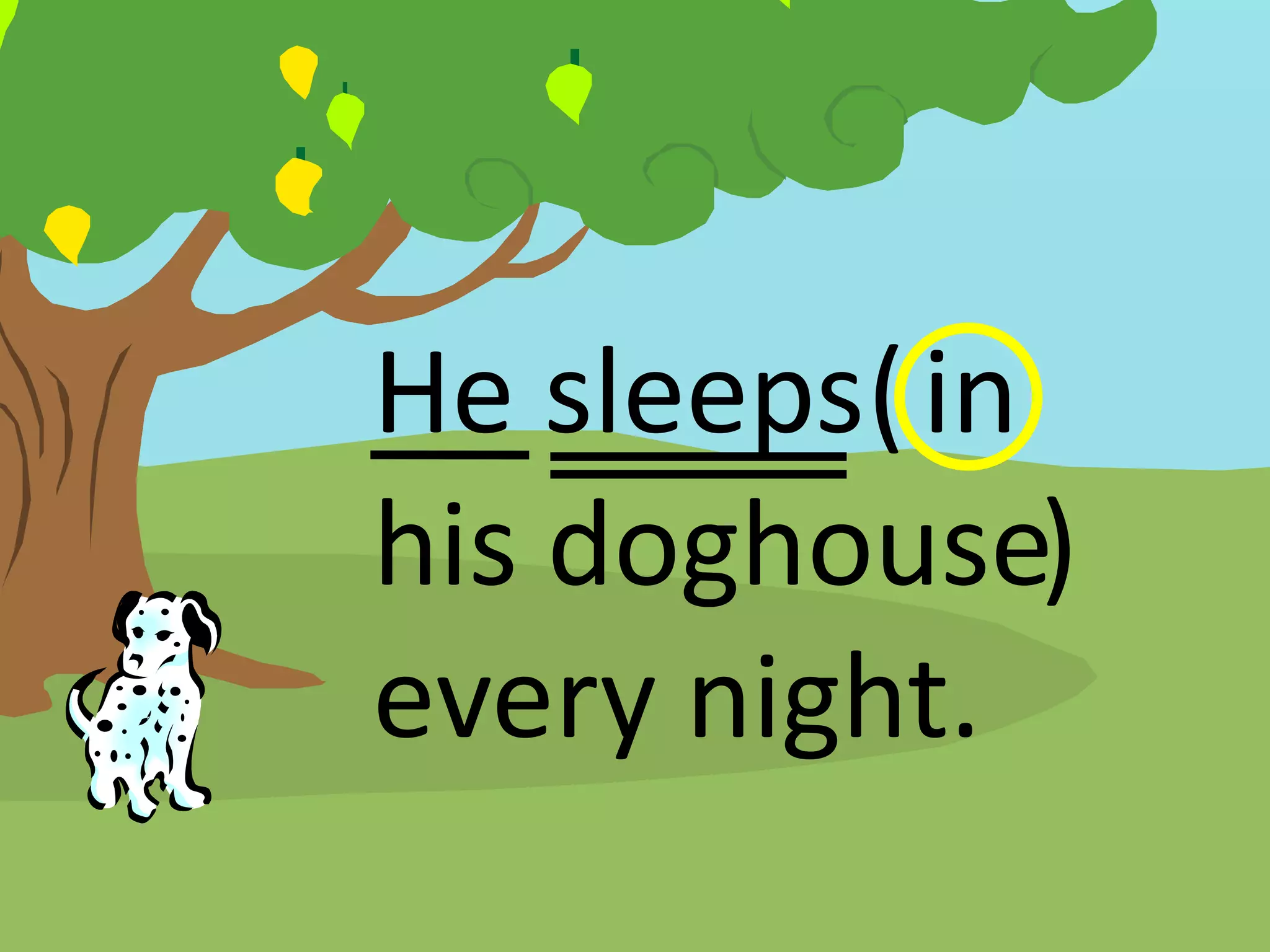He sleeps( in
his doghouse)
every night.