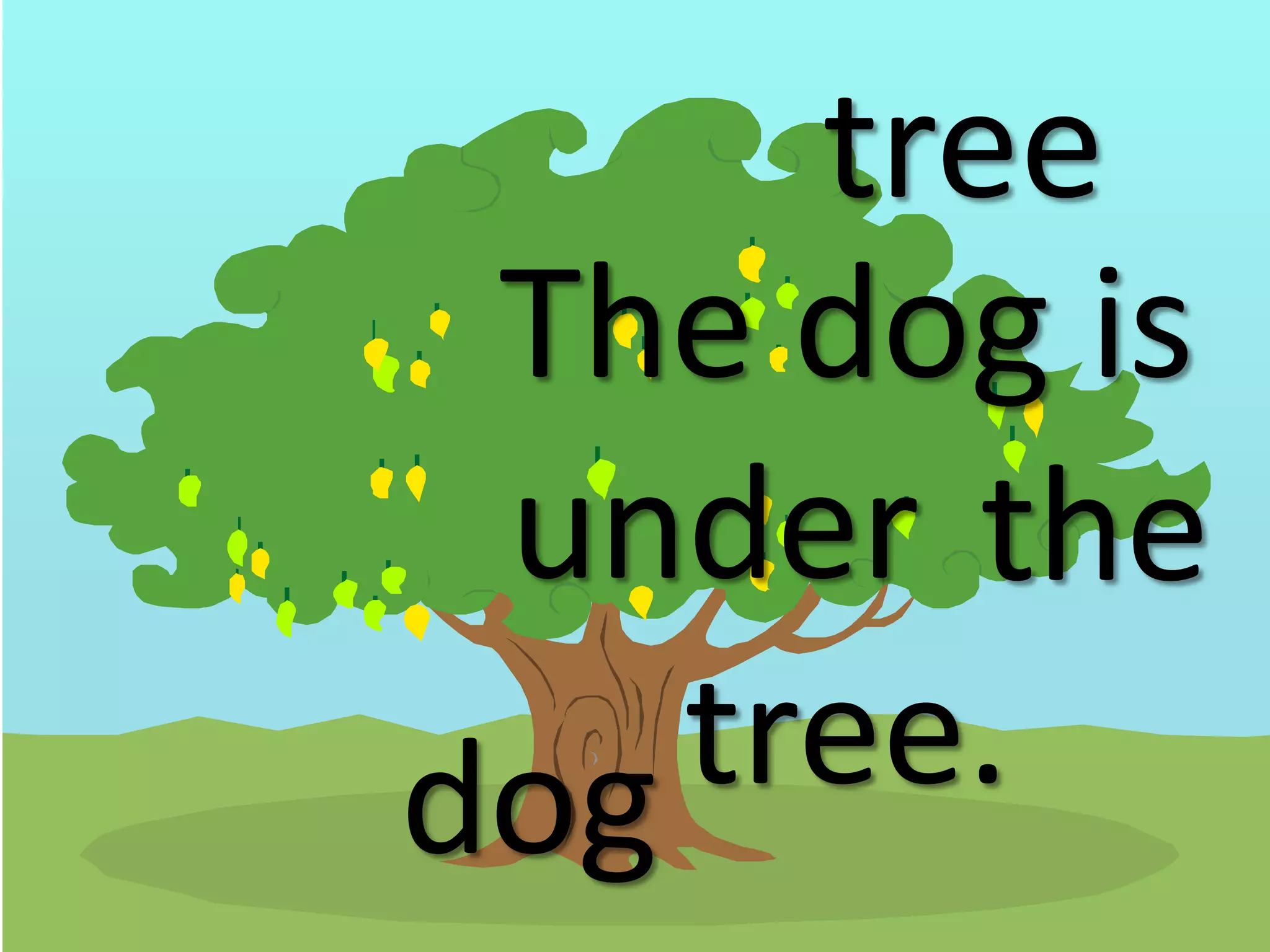 tree
The dog is
under the
dog tree.