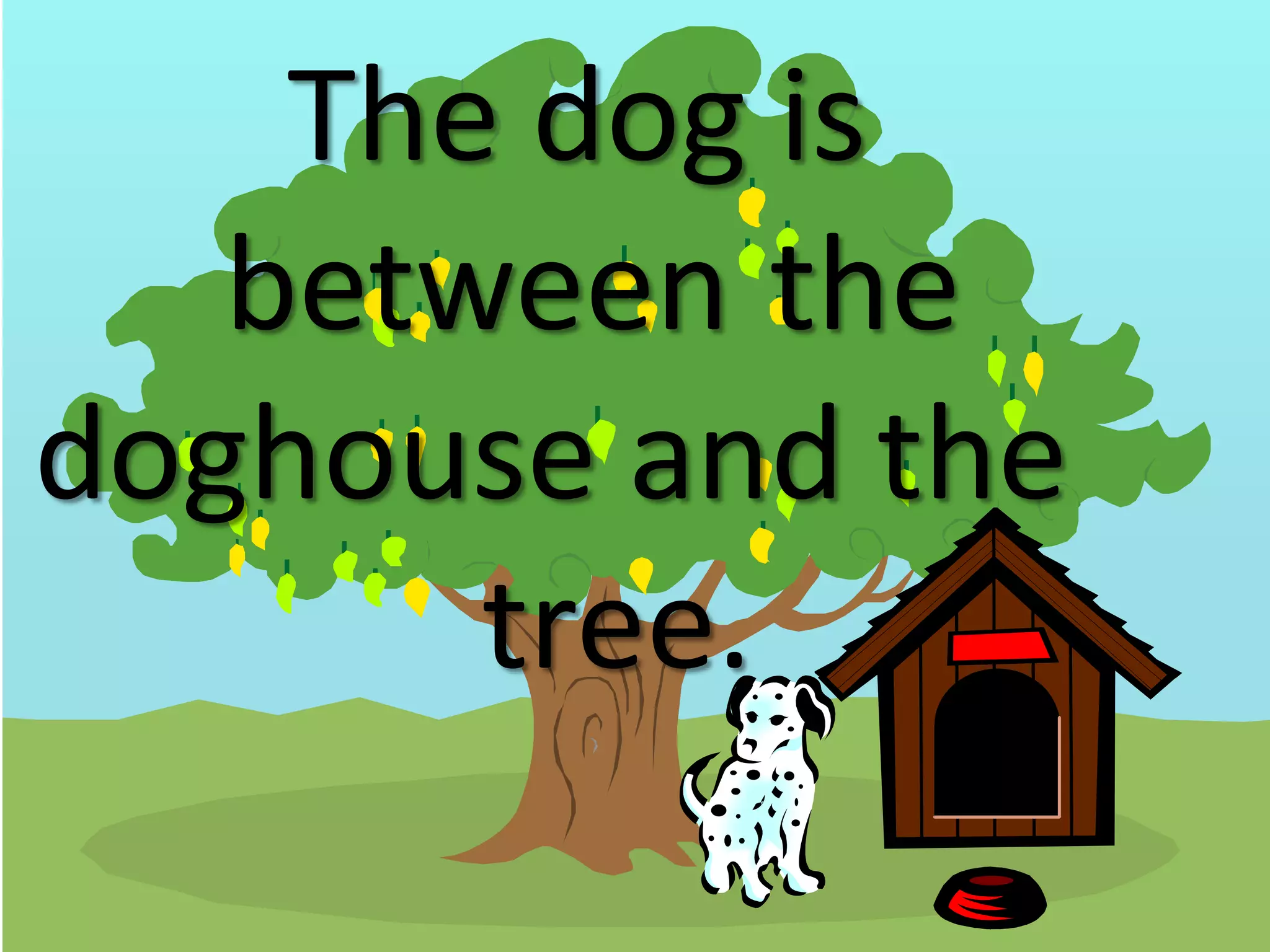 The dog is
between the
doghouse and the
tree.
