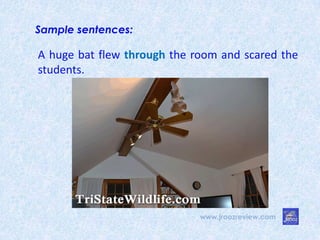 www.jroozreview.com
Sample sentences:
A huge bat flew through the room and scared the
students.
 