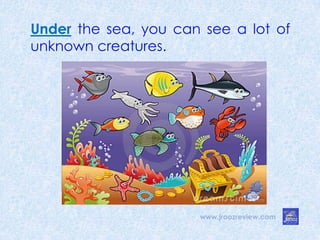 Under the sea, you can see a lot of
unknown creatures.
www.jroozreview.com
 