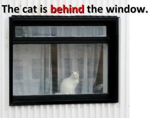 Window Preposition Prepositions Of Location Prepositions Fib | PPT