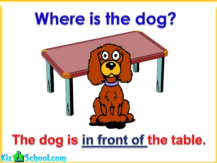 Cat And Dog At Table Eating Cat And Dog At Table Eating