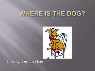 The dog is on the chair.
 