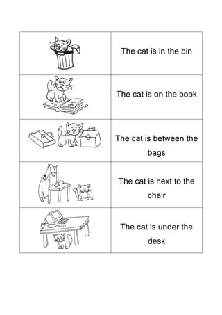 The cat is in the bin
The cat is on the book
The cat is between the
bags
The cat is next to the
chair
The cat is under the
desk
 