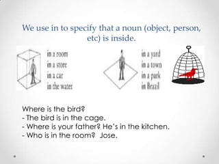 We use in to specify that a noun (object, person,
                 etc) is inside.




Where is the bird?
- The bird is in...