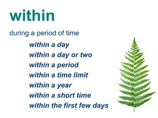 Prepositions of Time usage and example sentences | PPT
