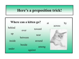 Here’s a preposition trick!

  Where can a kitten go?                at            by
                                             across
behind                    toward
             over
  up                           near
           between
 inside                    around
            beside
                                among
under                against
 