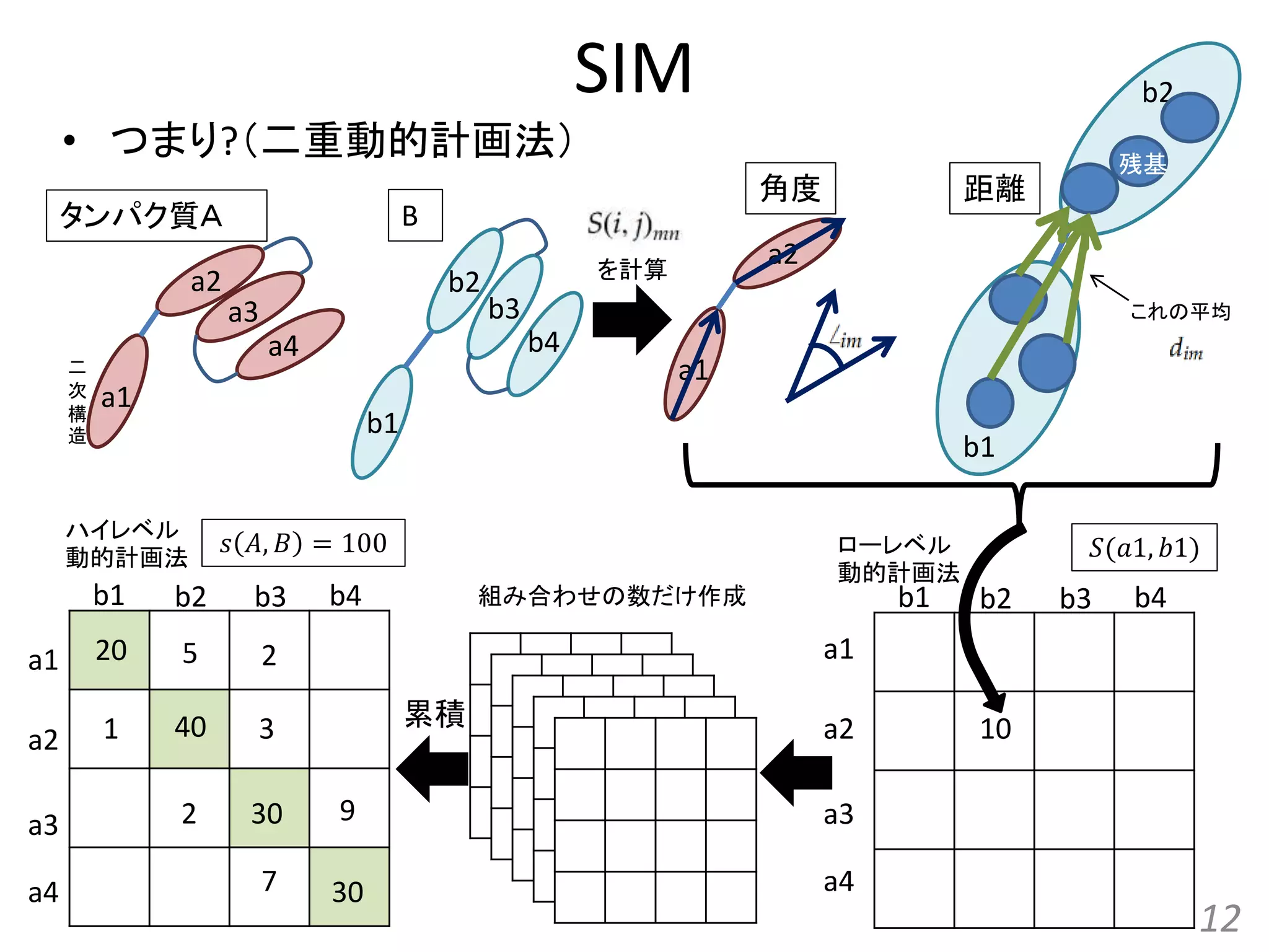 SIM
• つまり?（二重動的計画法）
12
タンパク質Ａ B
a1
a2
a3
a4
b1
b2
b3
b4
a1
a2
b1
b2
二
次
構
造
角度 距離
これの平均
a1
a2
a3
a4
を計算
b1 b2 b3 b4
𝑆(𝑎1, 𝑏1)
10
a1
a2
a3
a4
b1 b2 b3 b4
40
組み合わせの数だけ作成
20
30
30
5 2
2
3
7
9
1
ローレベル
動的計画法
ハイレベル
動的計画法
累積
𝑠 𝐴, 𝐵 = 100
残基
 