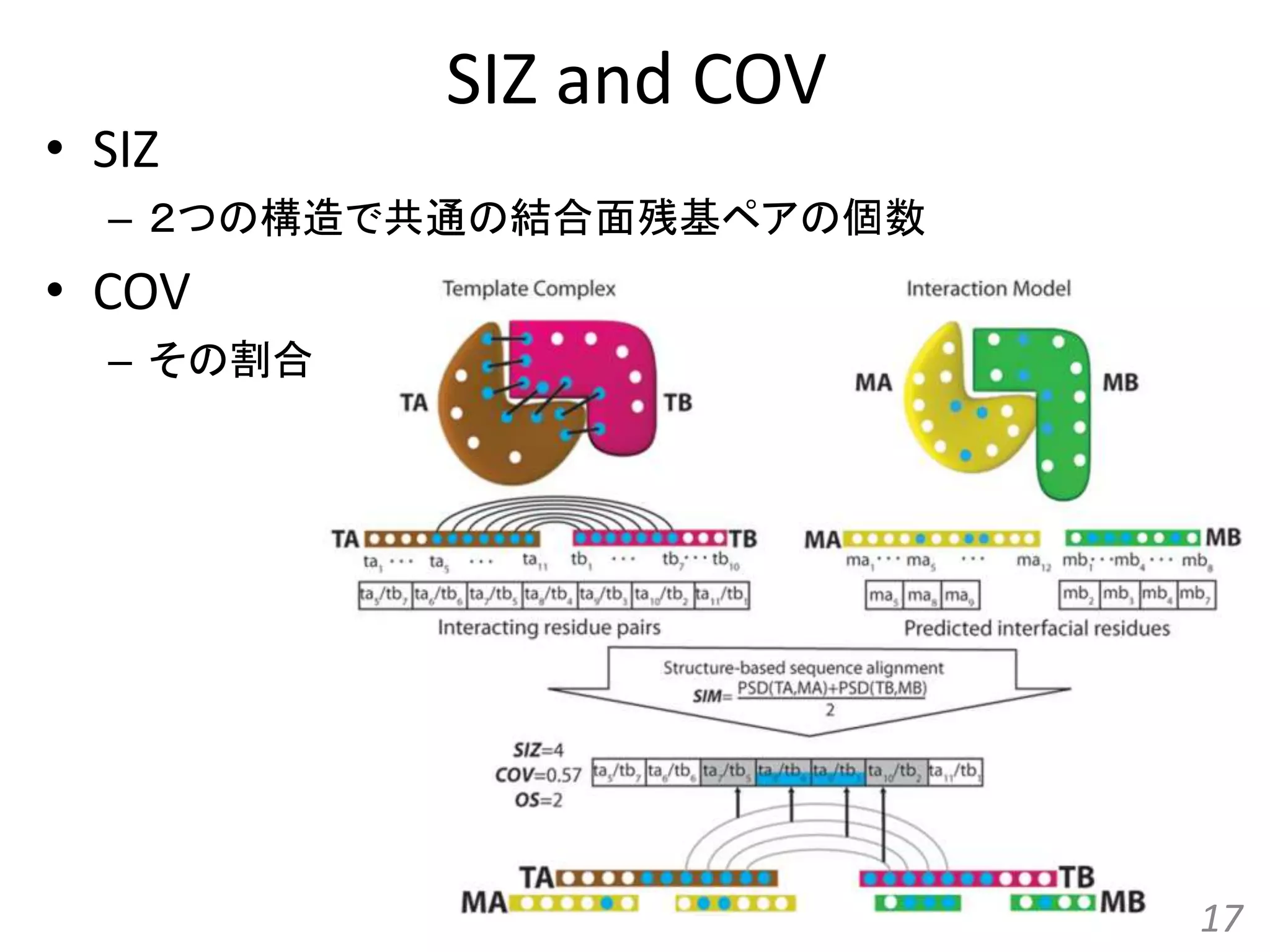 SIZ and COV
• SIZ
– ２つの構造で共通の結合面残基ペアの個数
• COV
– その割合
17
 