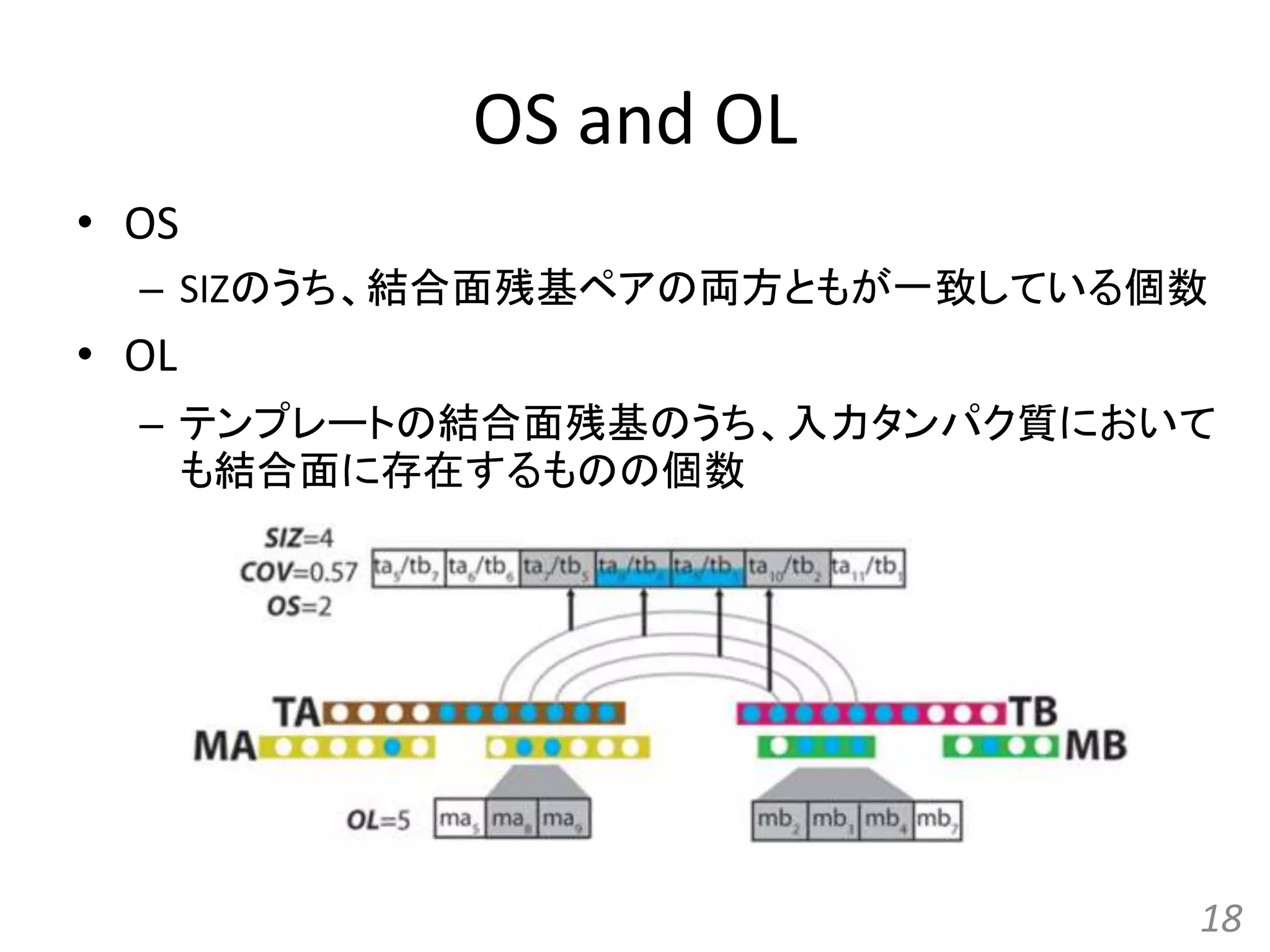 OS and OL
• OS
– SIZのうち、結合面残基ペアの両方ともが一致している個数
• OL
– テンプレートの結合面残基のうち、入力タンパク質において
も結合面に存在するものの個数
18
 