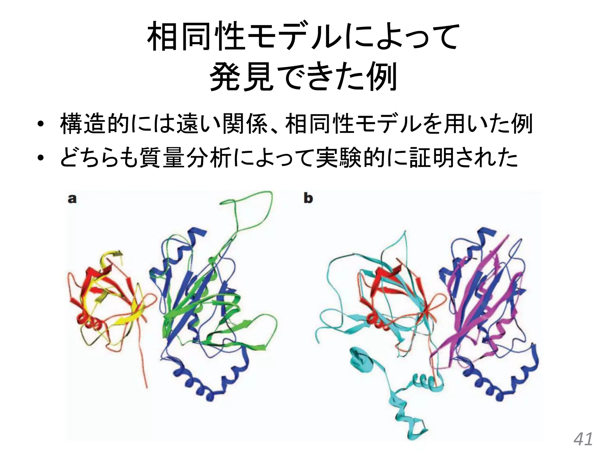 相同性モデルによって
発見できた例
• 構造的には遠い関係、相同性モデルを用いた例
• どちらも質量分析によって実験的に証明された
41
 