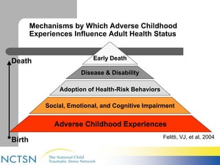 Mechanisms by Which Adverse Childhood 
Experiences Influence Adult Health Status 
Early Death 
Disease & Disability 
Adoption of Health-Risk Behaviors 
Social, Emotional, and Cognitive Impairment 
Adverse Childhood Experiences 
Death 
Birth 
Felitti, VJ, et al, 2004 
 