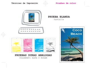 Técnicas de Impresión Pruebas de color
PRUEBA BLANDA
Pantalla
PRUEBAS DURAS ANALOGAS
COLORKEY: AGFA Y KODAK
 