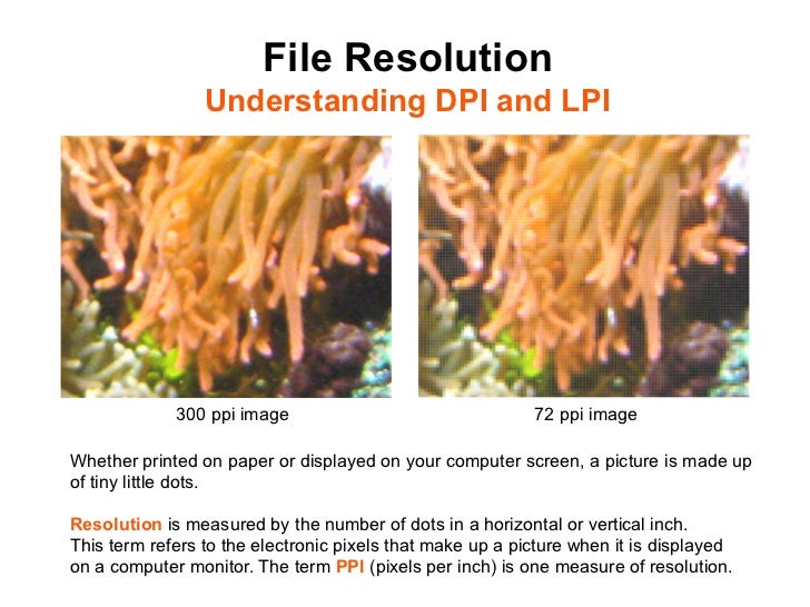 Prepress and File Formats Preparing Images for Print