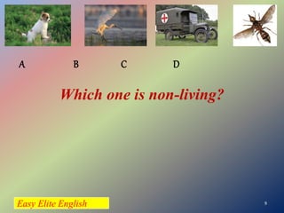 Easy Elite English 9
A B C D
Which one is non-living?