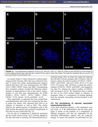 Alt et al. Adipose-derived regenerative cells
10
FIGURE 10  Immunofluorescent detection of CD11b (a), CD14 (b), CD31 (c), CD34 (d), CD45 (e) and HLA-DR (f) on the surface of
human adipose-derived stem cells that were cultured for four days in serum free media. The scale bar represents 60 µm in (a,d,f), 20
µm in (b), 40 µm in (c) and 30 µm in (f).
In contrast, Figure 11 shows the positive surface marker
antigen profile of human ASCs that were cultured for four
days in serum free media. Immunofluorescent analysis
showed that these cells were immunopositive for CD44,
CD73, CD90, CD105, Nestin and SMA. Corresponding
flow cytometric analysis revealed the following relative
numbers of immunopositive cells in this culture: relative
number of cells that were immunopositive for CD44
(CD44+): 92.4%, CD73+: 99.1%, CD90+: 28.8%,
CD105+: 73.3%, Nestin+: 76.2%, and SMA+: 41.2%.
Most importantly, in spheroids that were created from
unmodified human ASCs that were cultured for four days
in serum free media, cells expressed both Oct4 as an
indicator of 'stemness' as well as NG2. This clearly
indicates the natural presence of pluripotent cells in the
body without the need for prior genetical modification of
the cells as in case of iPS cells (Fig. 12).
For the sake of completeness it should be mentioned
that the results shown in Figs. 10-12 critically depend on
the time and mode of culturing. We demonstrated this by
culturing human ASCs in serum free media and analyzed
the cells after 24 hours and again after 120 hours. After 24
hours in culture, the relative numbers of CD11b+, CD34+,
CD45+ and CD105+ cells were 10.0%, 48.1%, 6.1% and
50.1%. In contrast, after 120 hours in culture the relative
numbers of CD11b+, CD34+ and CD45+ cells dropped to
less than 2%, whereas the relative number of CD105+
cells increased to 96.7%. We hypothesize that in culture
the loss of the CD34 surface marker as indicator of
progenitor status is a consequence of missing signaling
from the normally surrounding microenvironment in the
natural tissue.
3.5. The pluripotency of vascular associated
mesenchymal stem cell
It has been questioned whether a truly pluripotent stem
cell exists, or if the differentiation into the three germ
layers is based on the presence of a composition of
different progenitor cells that are responsible for the
individual differentiation capacity into the respective
lineage. To answer this question, we performed two key
Preprints (www.preprints.org) | NOT PEER-REVIEWED | Posted: 17 April 2019 doi:10.20944/preprints201904.0200.v1
 