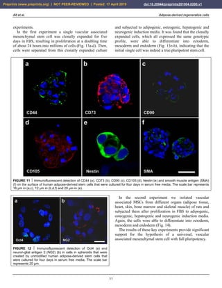Alt et al. Adipose-derived regenerative cells
11
experiments.
In the first experiment a single vascular associated
mesenchymal stem cell was clonally expanded for five
days in FBS, resulting in proliferation at a doubling time
of about 24 hours into millions of cells (Fig. 13a-d). Then,
cells were separated from this clonally expanded culture
and subjected to adipogenic, osteogenic, hepatogenic and
neurogenic induction media. It was found that the clonally
expanded cells, which all expressed the same genotypic
profile, were able to differentiate into ectoderm,
mesoderm and endoderm (Fig. 13e-h), indicating that the
initial single cell was indeed a true pluripotent stem cell.
FIGURE 11  Immunofluorescent detection of CD44 (a), CD73 (b), CD90 (c), CD105 (d), Nestin (e) and smooth muscle antigen (SMA)
(f) on the surface of human adipose-derived stem cells that were cultured for four days in serum free media. The scale bar represents
16 µm in (a,c), 12 µm in (b,d,f) and 20 µm in (e).
FIGURE 12  Immunofluorescent detection of Oct4 (a) and
neuron-glial antigen 2 (NG2) (b) in cells in spheroids that were
created by unmodified human adipose-derived stem cells that
were cultured for four days in serum free media. The scale bar
represents 20 µm.
In the second experiment we isolated vascular
associated MSCs from different organs (adipose tissue,
heart, skin, bone marrow and skeletal muscle) of rats and
subjected them after proliferation in FBS to adipogenic,
osteogenic, hepatogenic and neurogenic induction media.
Again, the cells were able to differentiate into ectoderm,
mesoderm and endoderm (Fig. 14).
The results of these key experiments provide significant
support for the hypothesis of a universal, vascular
associated mesenchymal stem cell with full pluripotency.
Preprints (www.preprints.org) | NOT PEER-REVIEWED | Posted: 17 April 2019 doi:10.20944/preprints201904.0200.v1
 