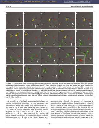 Alt et al. Adipose-derived regenerative cells
15
FIGURE 18  Time-lapse video microscopy of human adipose-derived stem cells (ASCs) that were co-cultured with MDA-MB-231 cells
labeled with green fluorescent protein (GFP) (green signal). One of the ASCs shown in this figure was labeled with a red Quantum dot
(red signal; the corresponding cell body is marked by a white arrow). In (f) this ASC formed a contact with another ASC (yellow arrows;
the cell-cell contact is indicated by the large yellow arrow in f). However, the Quantum dot was not exchanged between the cells. In (o)
the same ASC formed a contact with a MDA-MB-231 cell (green arrows; the cell-cell contact is indicated by the large green arrow in o)
and the Quantum dot was transferred from the ASC to the MDA-MB-231 cell. The high-power inset in o shows that the Quantum dot left
the ASC through a microchannel that was formed by the ASC itself, which demonstrates active participation of the ASC in exchange of
cellular components between the cells. The time interval between the frames was 40 min each. The scale bar represents 50 µm in a-t,
and 25 in the inset in o.
A second type of cell-cell communication is based on
genetic information contained in the exosomes (or
microsomes), which are released from the cell surface (c.f.
the inset in Fig. 4) and, upon uptake by pinocytosis (Fig.
19), induce a certain epigenetic reprogramming in the
recipient cell (e.g., Valadi et al., 2007; Xin et al., 2012;
Ismail et al., 2013). These exosomes are currently of
major interest with respect to further elucidating cell-cell
communication (e.g., Kruger et al., 2014). Specifically,
communication through the content of exosomes is
considered an important factor for orientation of cells (Xu
et al., 2017). Several micro-RNAs, transcription factors
and cytokines were identified to be involved in the
transfer of epigenetic reprogramming of cells in order to
direct them into a specific lineage differentiation. It was
also shown recently that microsomes obtained from a
murine pancreatic β-cell line are able to induce a beta cell
differentiation of bone marrow derived MSCs (Oh et al.,
Preprints (www.preprints.org) | NOT PEER-REVIEWED | Posted: 17 April 2019 doi:10.20944/preprints201904.0200.v1
 